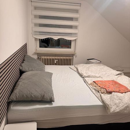 Am Auepark Apartman Kassel Kültér fotó