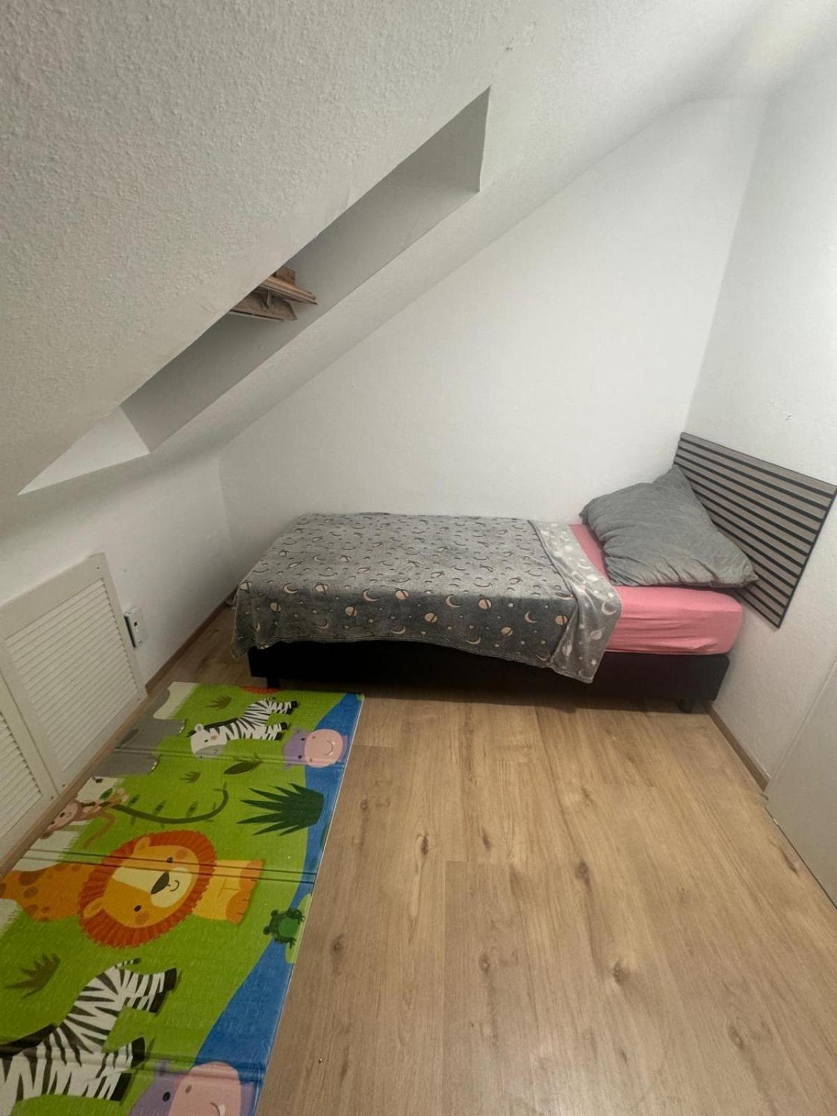 Am Auepark Apartman Kassel Kültér fotó